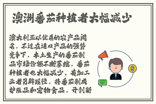 上色软件app